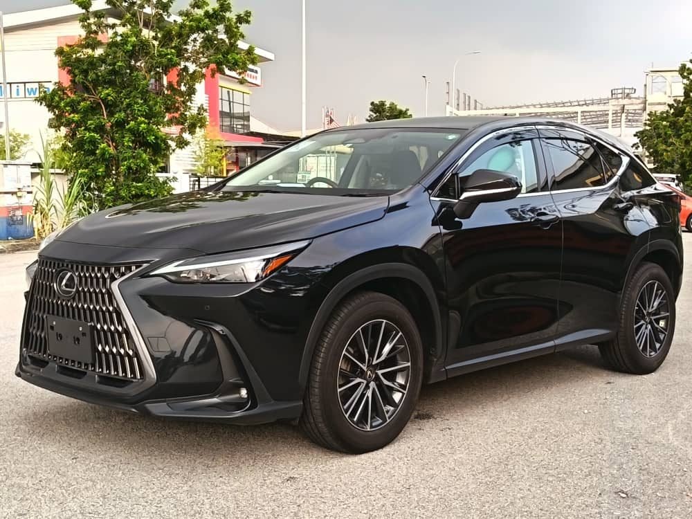 2022 Lexus NX250 NX250 - Photo 1